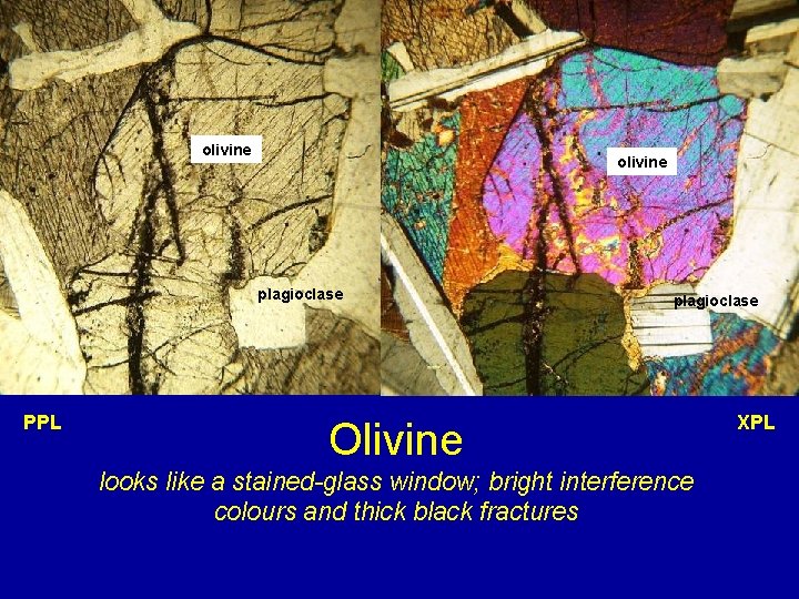 olivine plagioclase PPL plagioclase Olivine looks like a stained-glass window; bright interference colours and