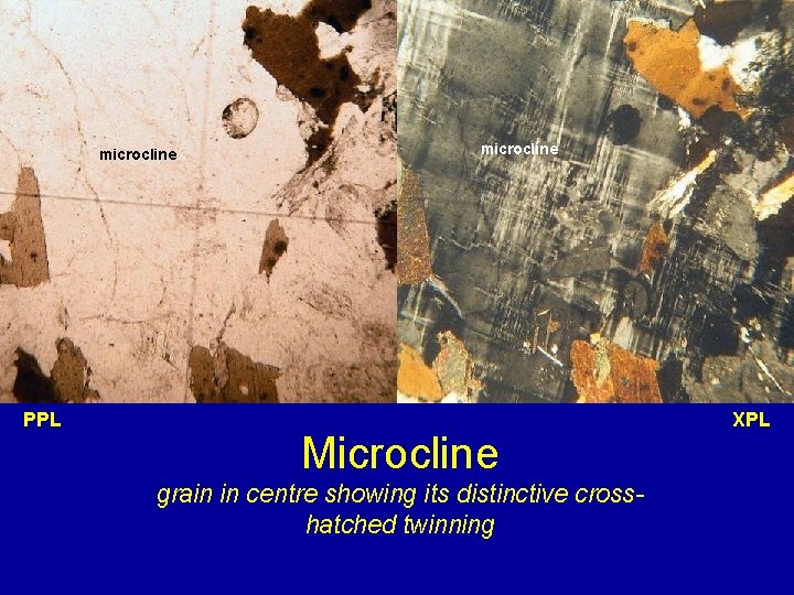 microcline PPL microcline Microcline grain in centre showing its distinctive crosshatched twinning XPL 