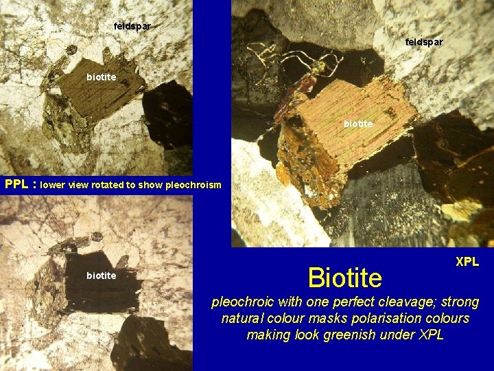 feldspar biotite PPL : lower view rotated to show pleochroism biotite Biotite XPL pleochroic