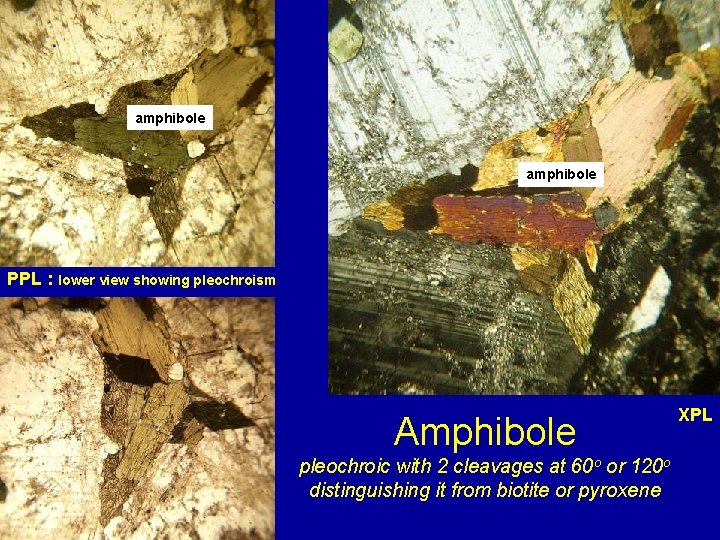 amphibole PPL : lower view showing pleochroism Amphibole pleochroic with 2 cleavages at 60