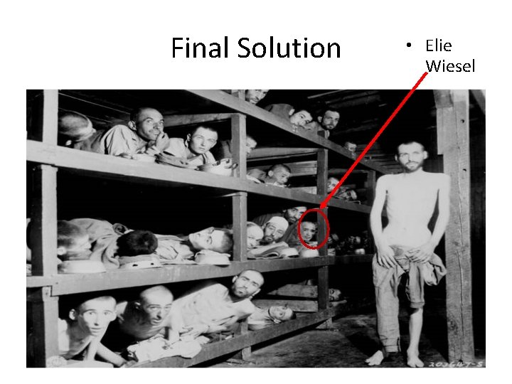 Final Solution • Elie Wiesel 