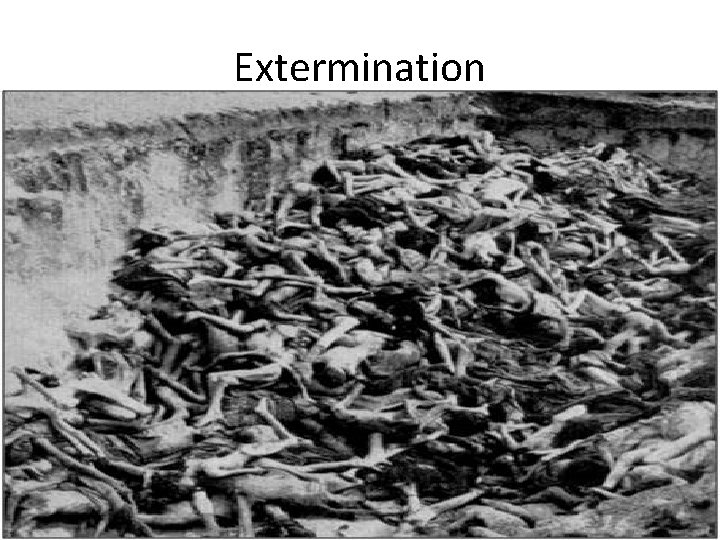 Extermination 