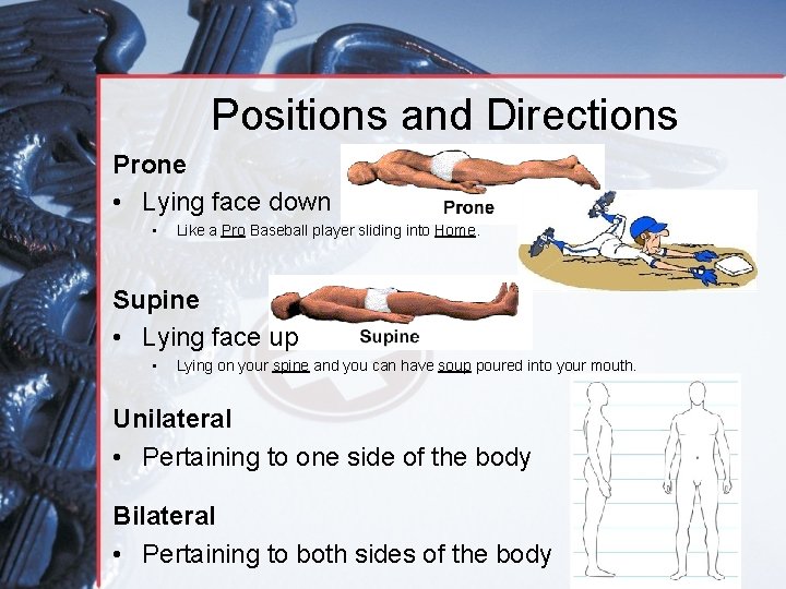 Positions and Directions Prone • Lying face down • Like a Pro Baseball player