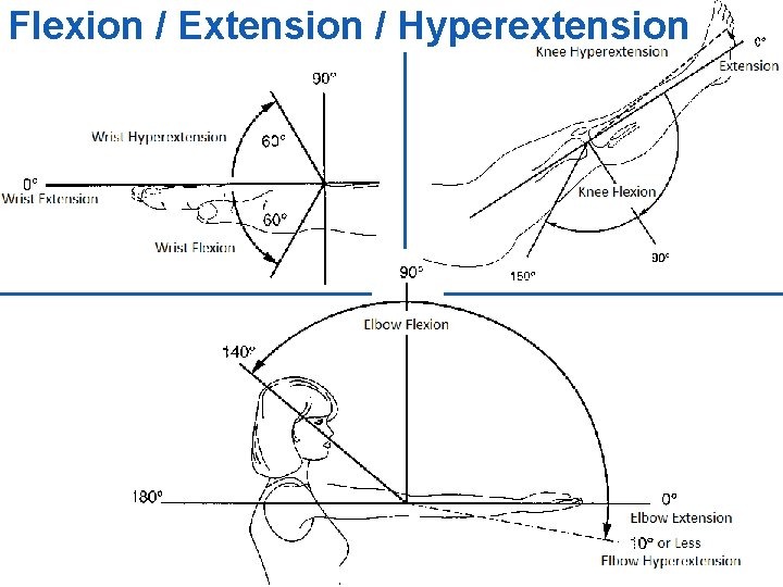 Flexion / Extension / Hyperextension 