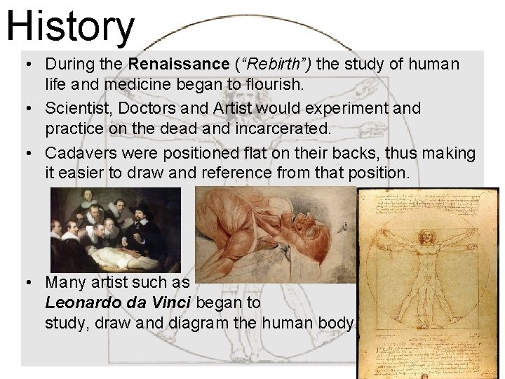 History • During the Renaissance (“Rebirth”) the study of human life and medicine began