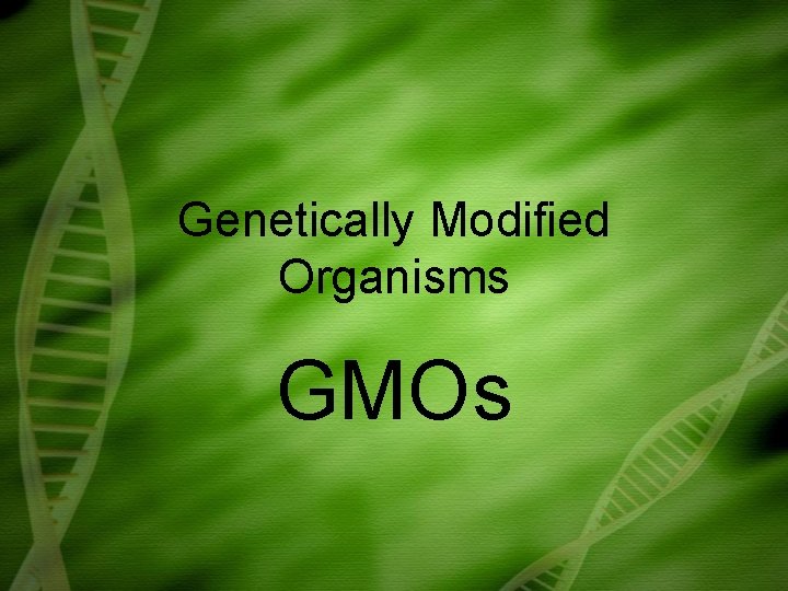 Genetically Modified Organisms GMOs 