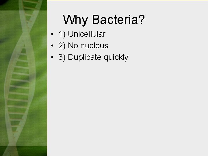 Why Bacteria? • 1) Unicellular • 2) No nucleus • 3) Duplicate quickly 