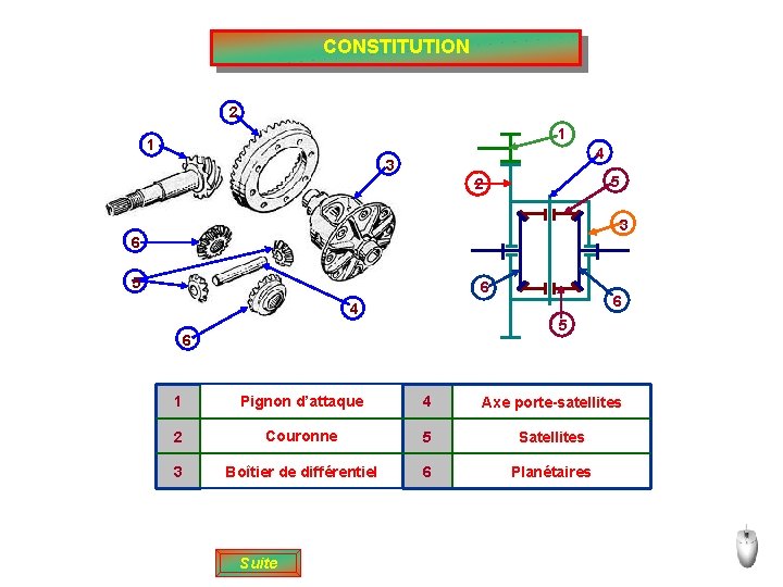 CONSTITUTION 2 1 1 4 3 5 2 3 6 5 6 4 6