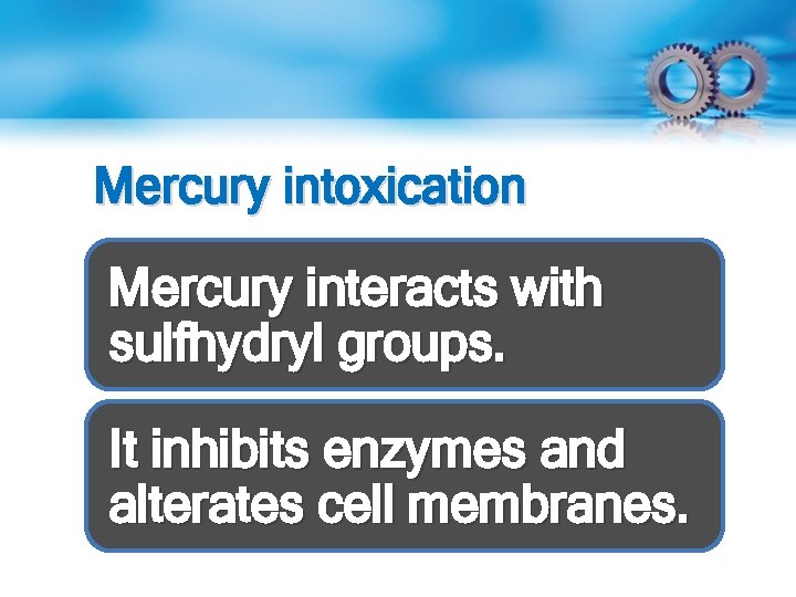 Mercury intoxication Mercury interacts with sulfhydryl groups. It inhibits enzymes and alterates cell membranes.