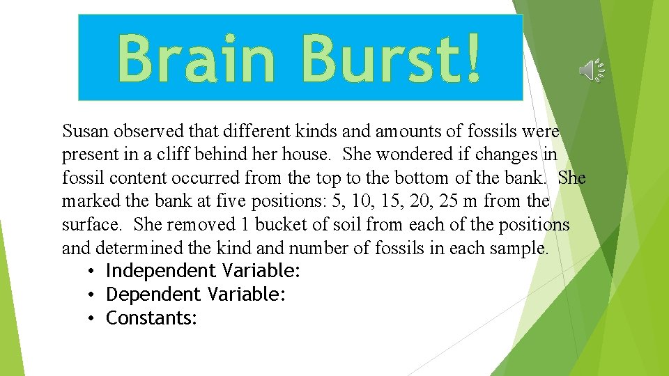 Brain Burst! Susan observed that different kinds and amounts of fossils were present in