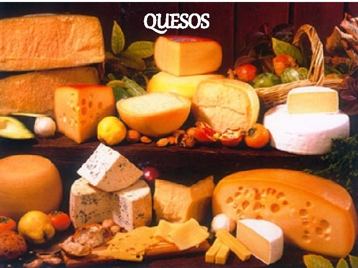 QUESOS 