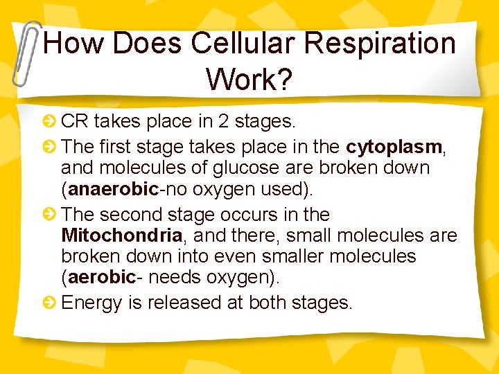 How Does Cellular Respiration Work? CR takes place in 2 stages. The first stage