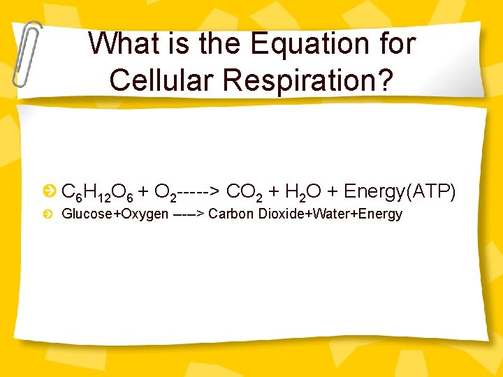 What is the Equation for Cellular Respiration? C 6 H 12 O 6 +