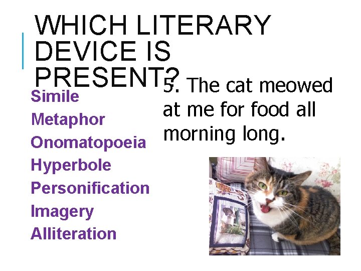 WHICH LITERARY DEVICE IS PRESENT? 5. The cat meowed Simile Metaphor Onomatopoeia Hyperbole Personification