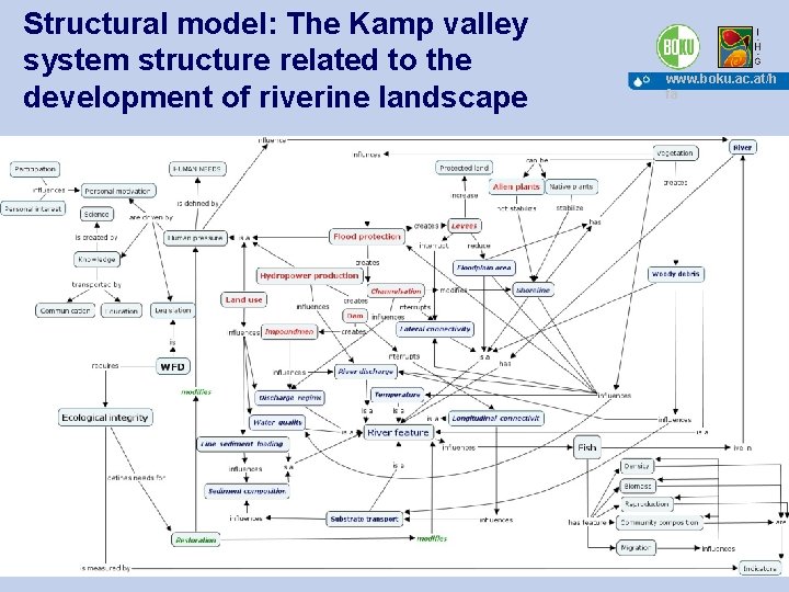 Structural model: The Kamp valley system structure related to the development of riverine landscape
