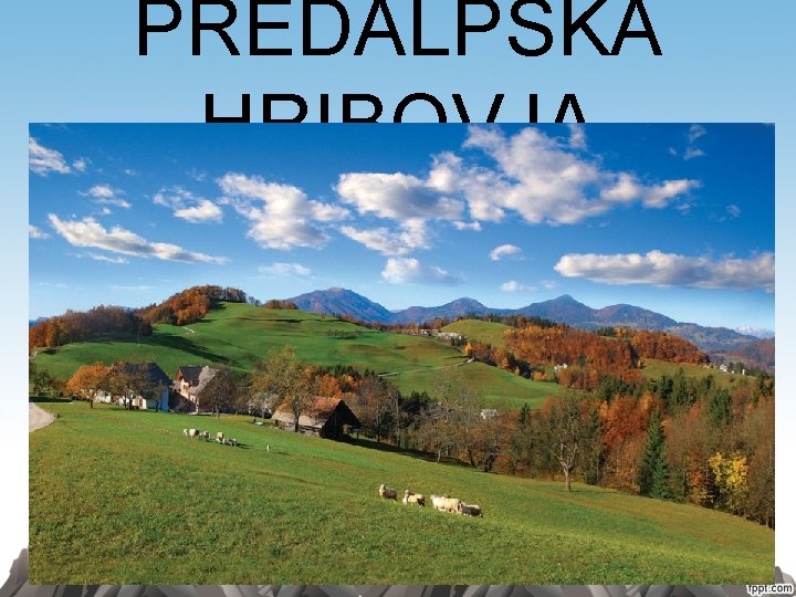 PREDALPSKA HRIBOVJA PREDALPSKA HRIBOVJA