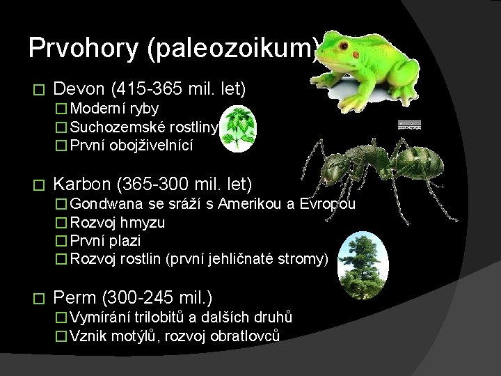 Prvohory (paleozoikum) � Devon (415 -365 mil. let) � Moderní ryby � Suchozemské rostliny