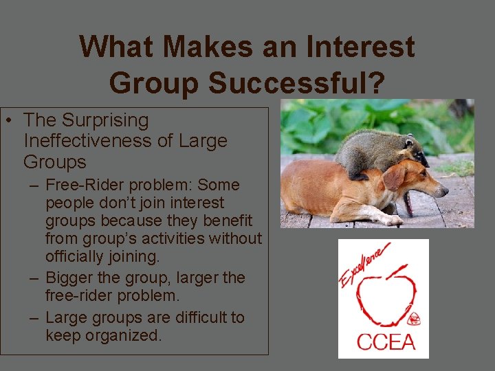 What Makes an Interest Group Successful? • The Surprising Ineffectiveness of Large Groups –