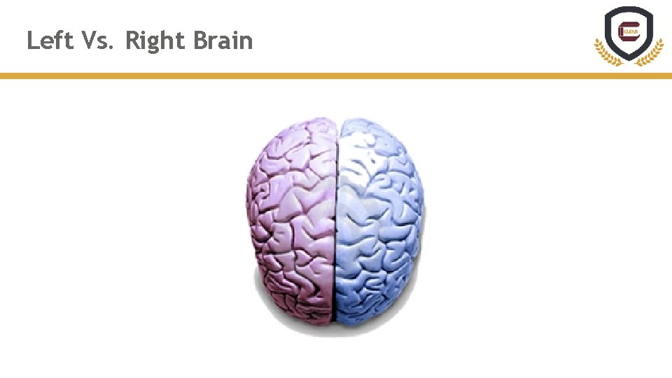 Left Vs. Right Brain 