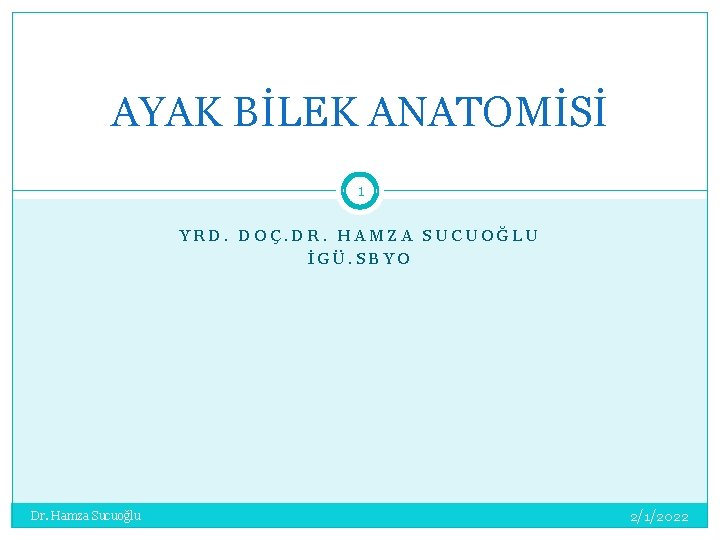 AYAK BİLEK ANATOMİSİ 1 YRD. DOÇ. DR. HAMZA SUCUOĞLU İGÜ. SBYO Dr. Hamza Sucuoğlu