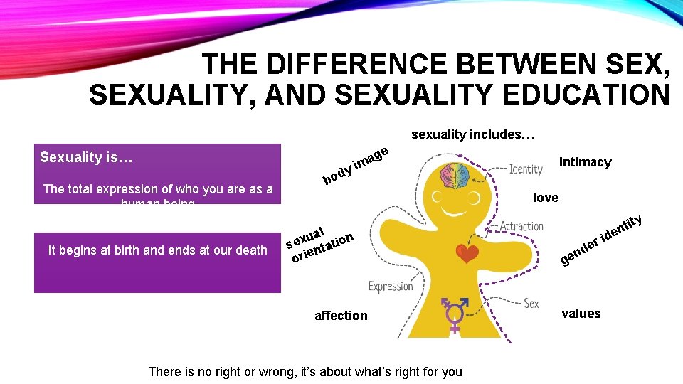 THE DIFFERENCE BETWEEN SEX, SEXUALITY, AND SEXUALITY EDUCATION sexuality includes… Sexuality is… The total