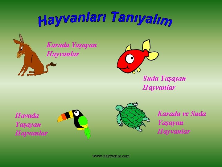 Karada Yaşayan Hayvanlar Suda Yaşayan Hayvanlar Karada ve Suda Yaşayan Hayvanlar Havada Yaşayan Hayvanlar