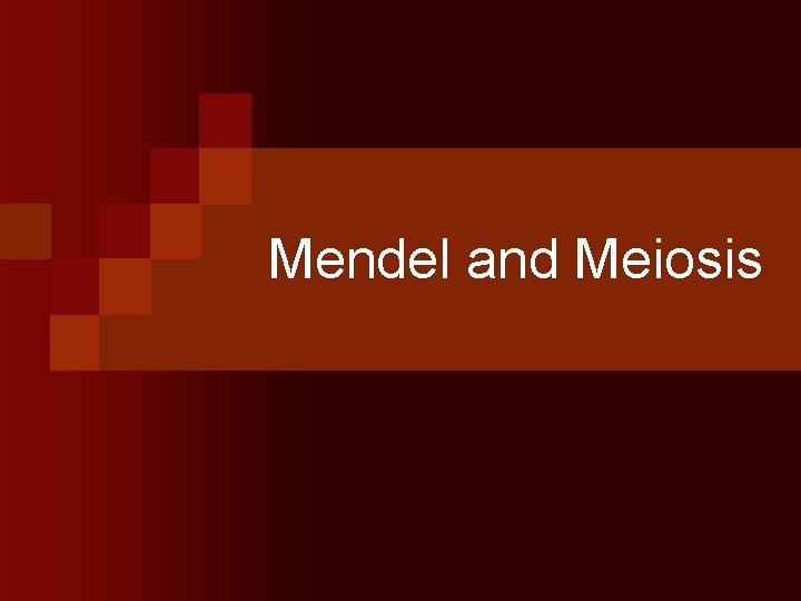Mendel and Meiosis 