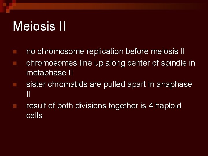 Meiosis II n n no chromosome replication before meiosis II chromosomes line up along