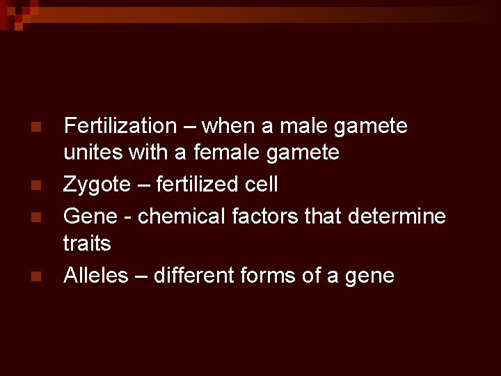 n n Fertilization – when a male gamete unites with a female gamete Zygote