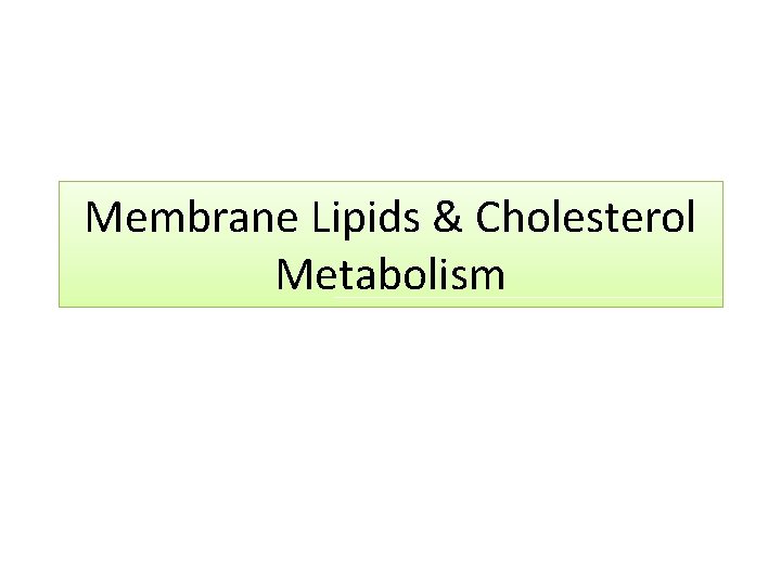 Membrane Lipids & Cholesterol Metabolism 
