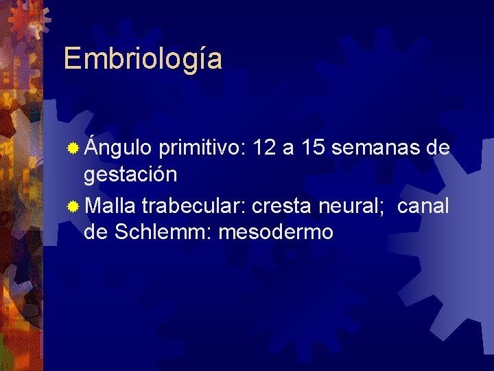 Embriología ® Ángulo primitivo: 12 a 15 semanas de gestación ® Malla trabecular: cresta