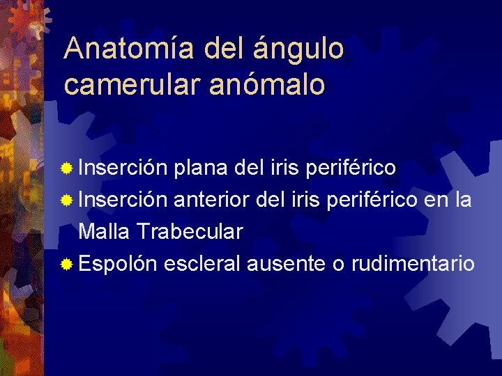 Anatomía del ángulo camerular anómalo ® Inserción plana del iris periférico ® Inserción anterior