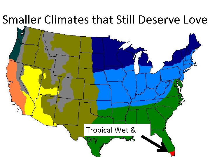 Smaller Climates that Still Deserve Love Tropical Wet & Dry 