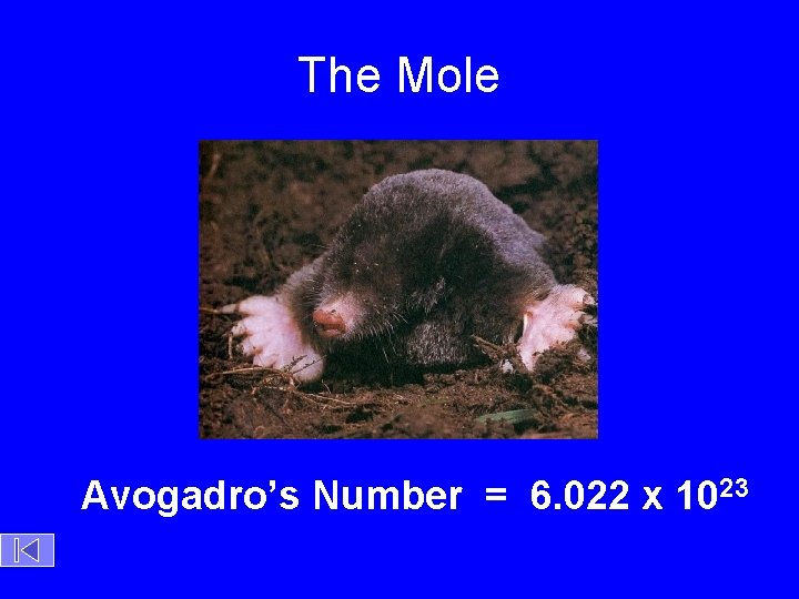 The Mole Avogadro’s Number = 6. 022 x 1023 