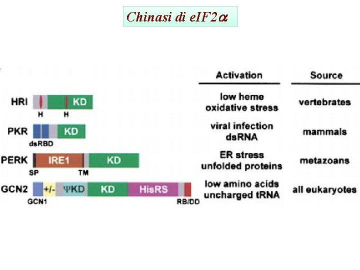 Chinasi di e. IF 2 a 