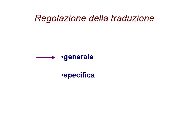 Regolazione della traduzione • generale • specifica 