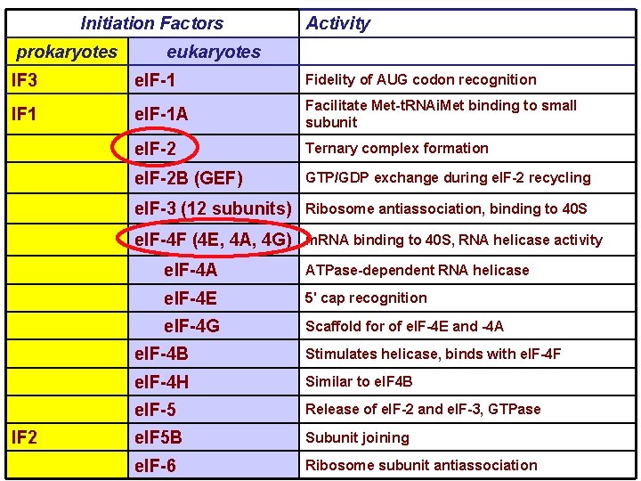 Initiation Factors prokaryotes Activity eukaryotes IF 3 e. IF-1 Fidelity of AUG codon recognition