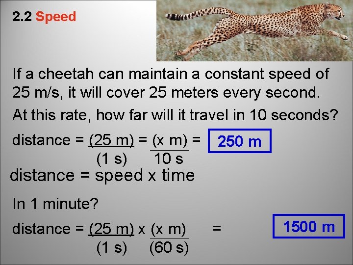 2. 2 Speed If a cheetah can maintain a constant speed of 25 m/s,