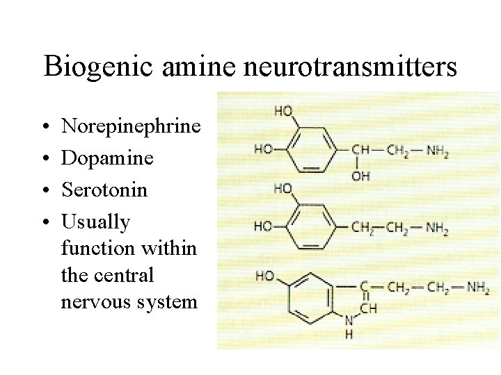 Biogenic amine neurotransmitters • • Norepinephrine Dopamine Serotonin Usually function within the central nervous