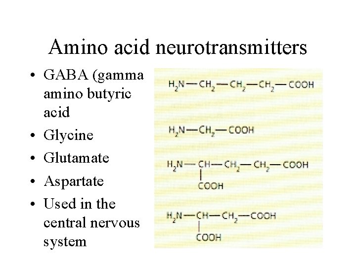 Amino acid neurotransmitters • GABA (gamma amino butyric acid • Glycine • Glutamate •