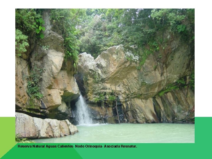 Reserva Natural Aguas Calientes- Nodo Orinoquia- Asociada Resnatur. 