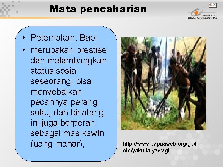 Mata pencaharian • Peternakan: Babi • merupakan prestise dan melambangkan status sosial seseorang. bisa