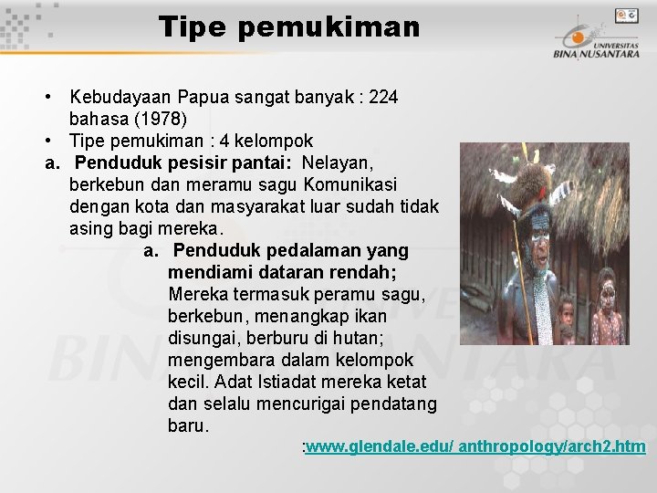 Tipe pemukiman • Kebudayaan Papua sangat banyak : 224 bahasa (1978) • Tipe pemukiman