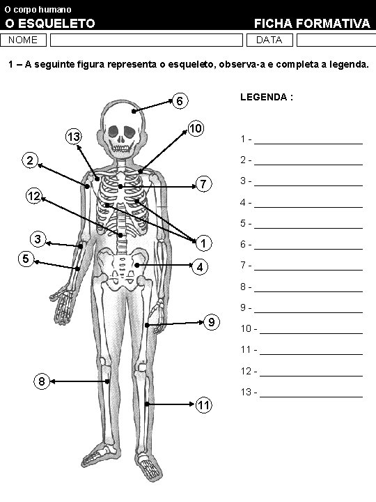 O corpo humano O ESQUELETO FICHA FORMATIVA NOME DATA 1 – A seguinte figura