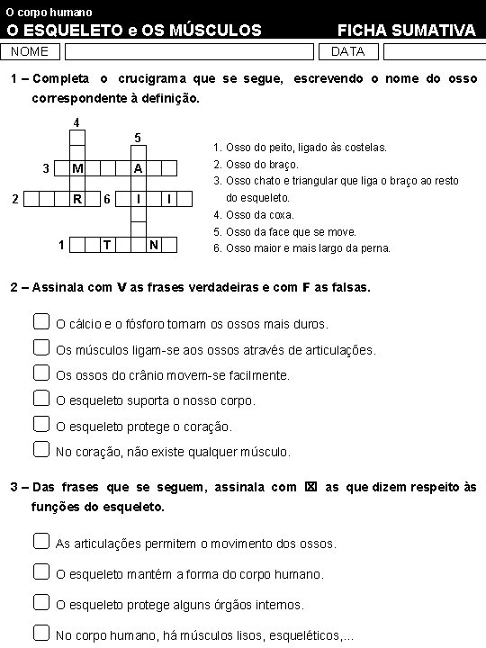 O corpo humano O ESQUELETO e OS MÚSCULOS NOME FICHA SUMATIVA DATA 1 –