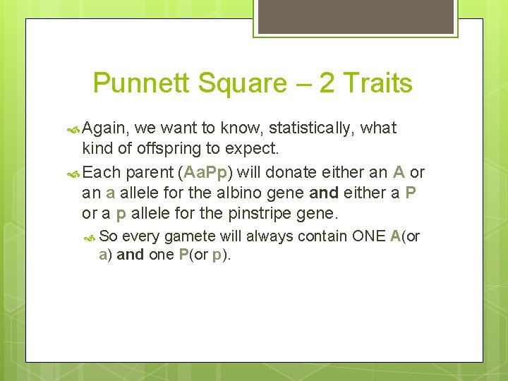 Punnett Square – 2 Traits Again, we want to know, statistically, what kind of