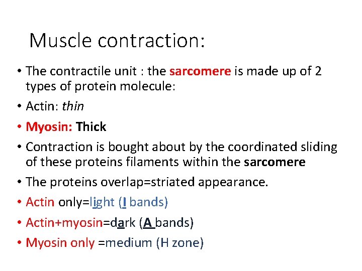 Muscle contraction: • The contractile unit : the sarcomere is made up of 2