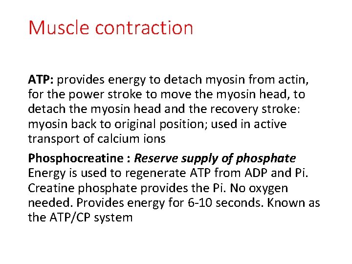 Muscle contraction ATP: provides energy to detach myosin from actin, for the power stroke