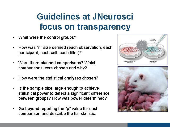 What does rigor mean at JNeurosci JNeurosci aims