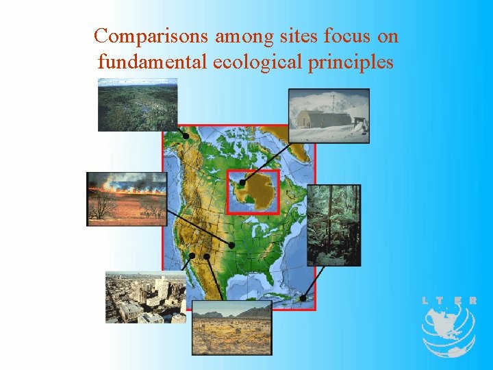Comparisons among sites focus on fundamental ecological principles 